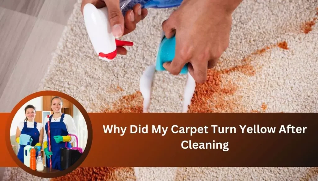 Causes of Carpet Yellowing